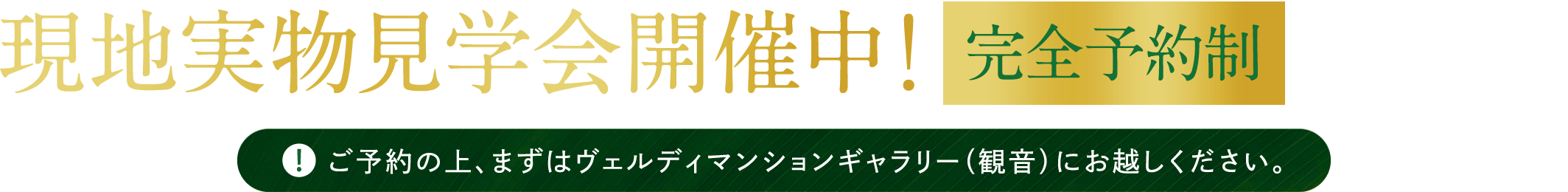 現地実物見学会開催中！完全予約制